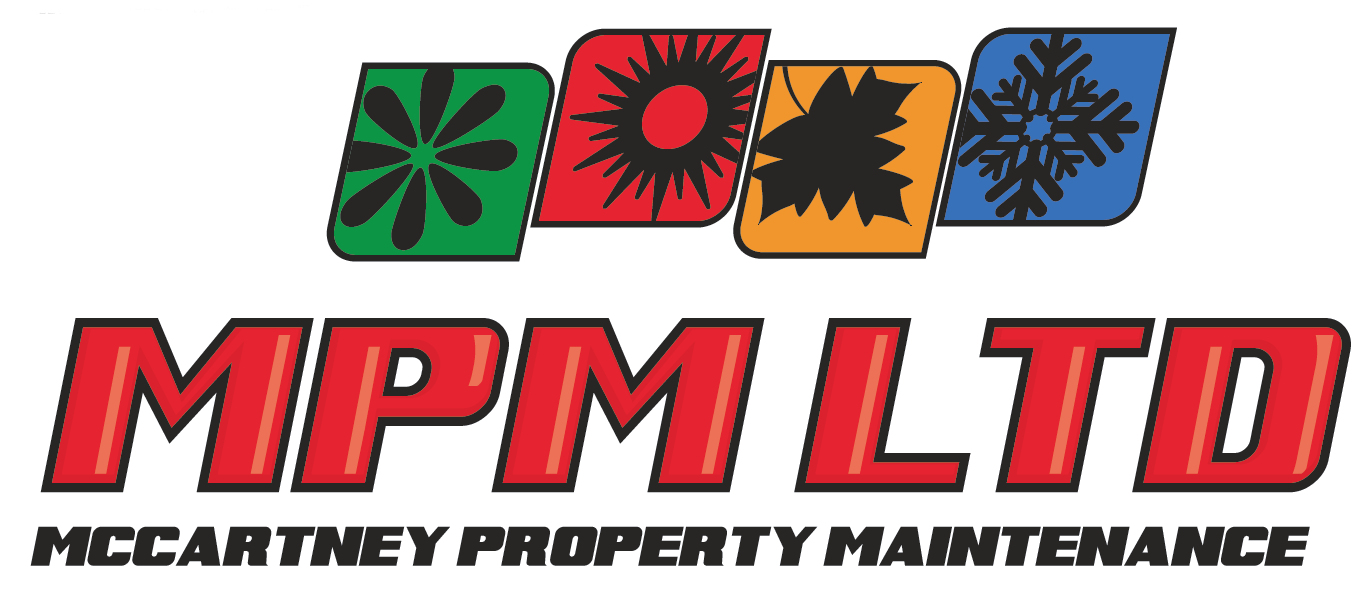 MPM Ltd